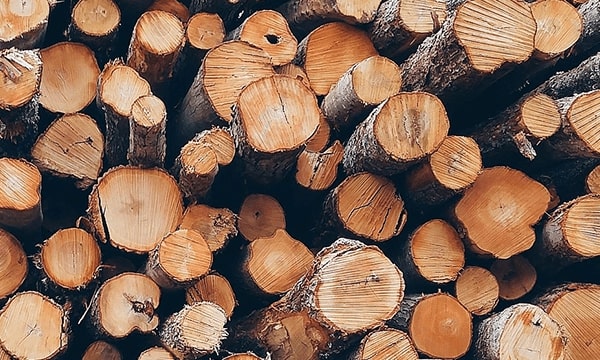 木質バイオマス燃料事業イメージ
